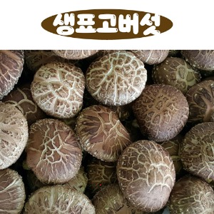 국내산 생표고버섯 1kg(상/중품)